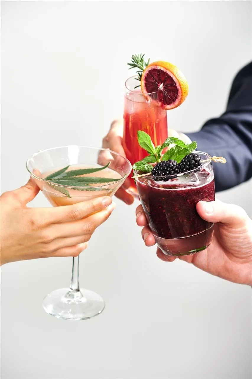 Three hands raising craft mocktails in a toast, one garnished with a cannabis leaf, one with blackberries and mint, one with a blood orange slice