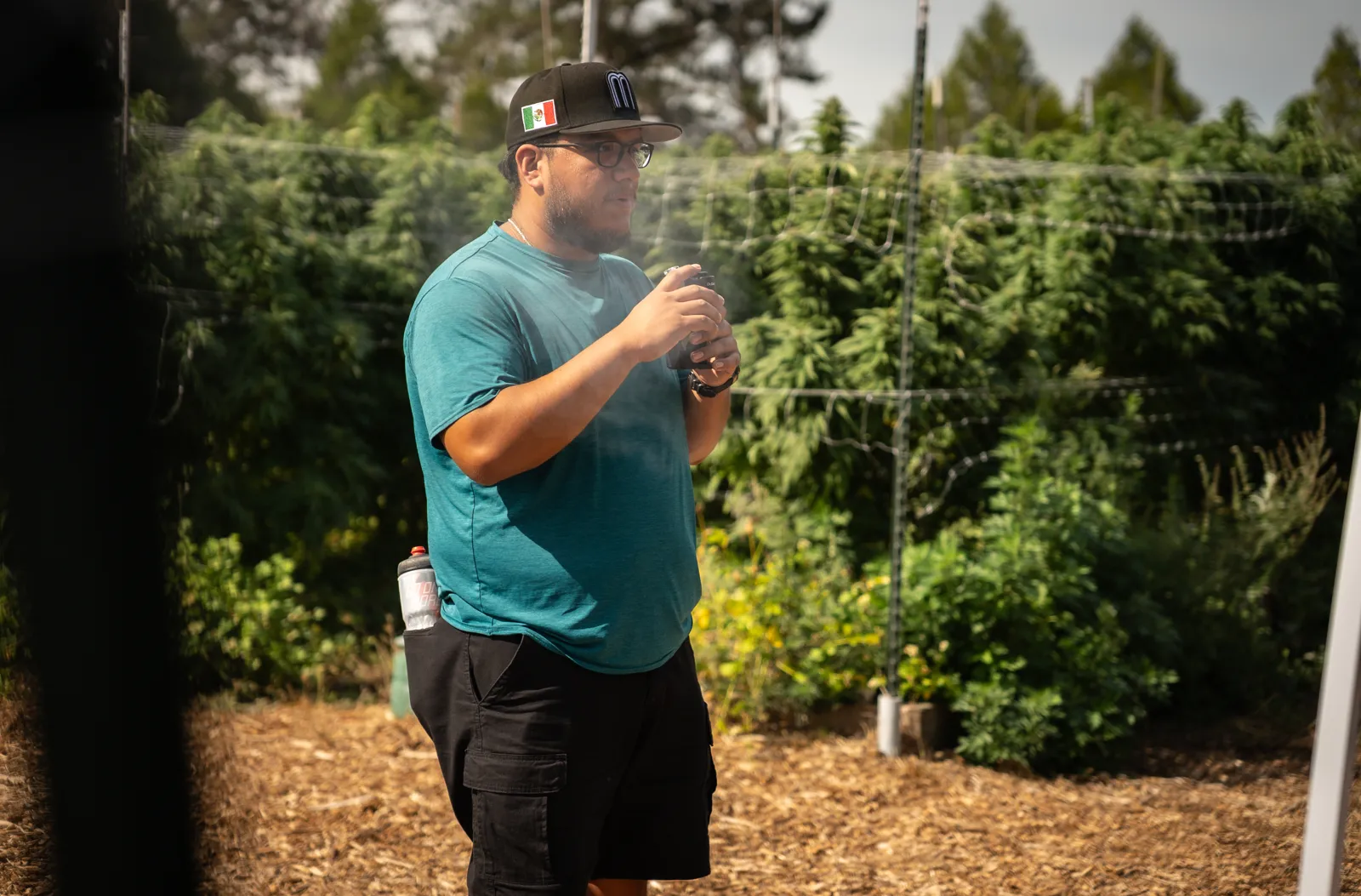 A farmer speaking to retreat guests in front of rows of sun-grown cannabis plants