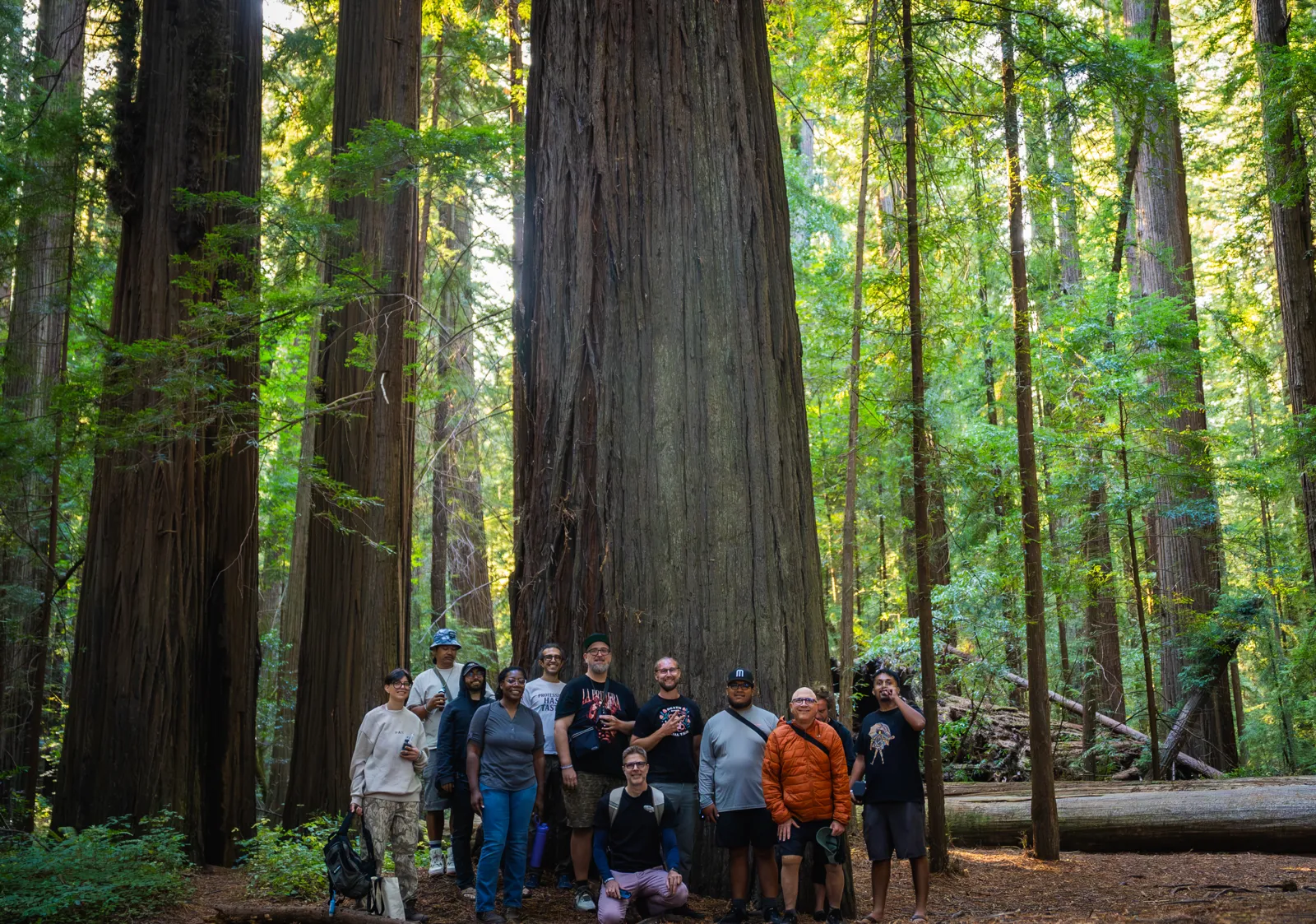The Farm Retreat group posing at the base of a giant redwood tree