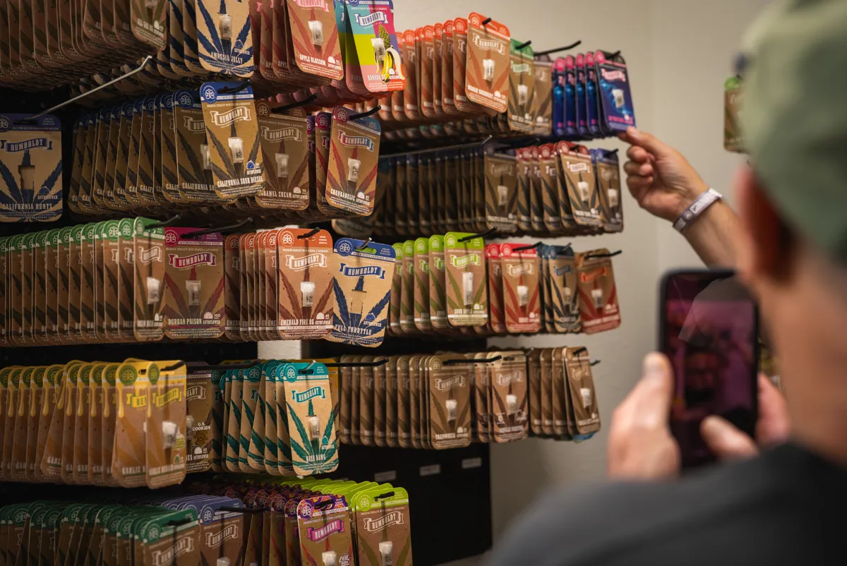 A retreat guest photographing a wall of cannabis seed packs