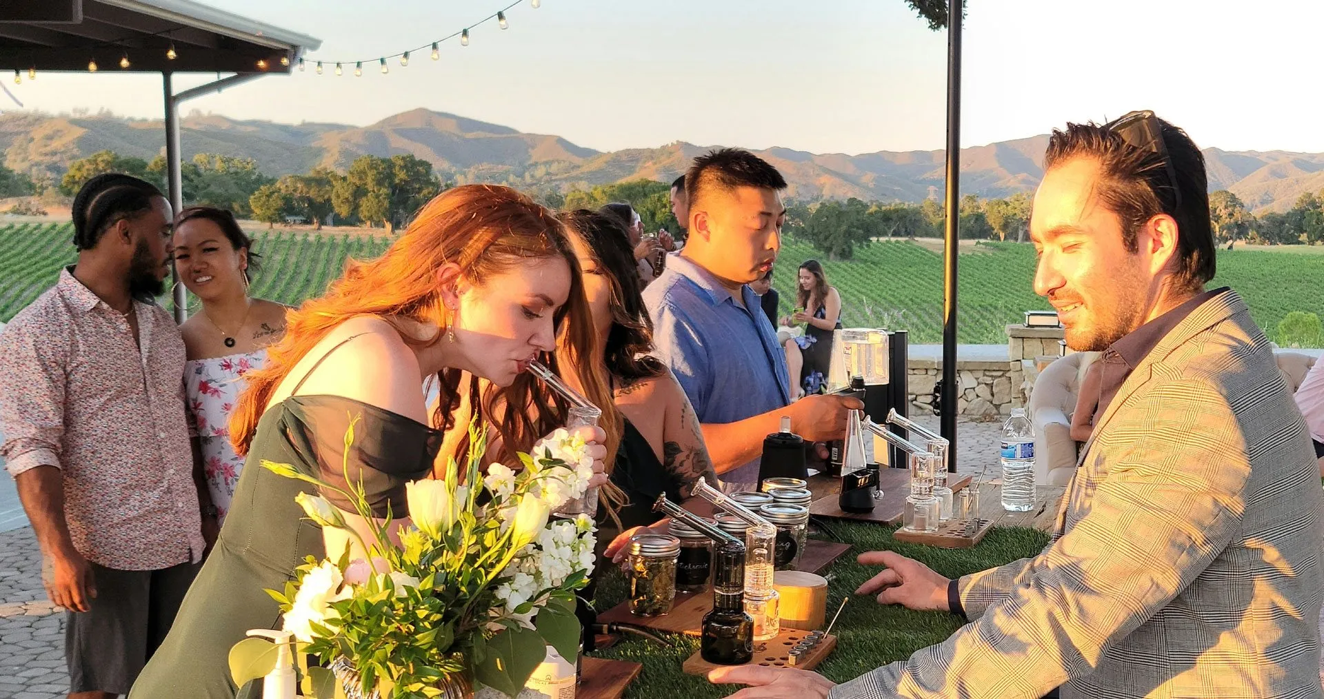 Guests gathered around a cannabis bar at an outdoor vineyard event while the budtender serves them