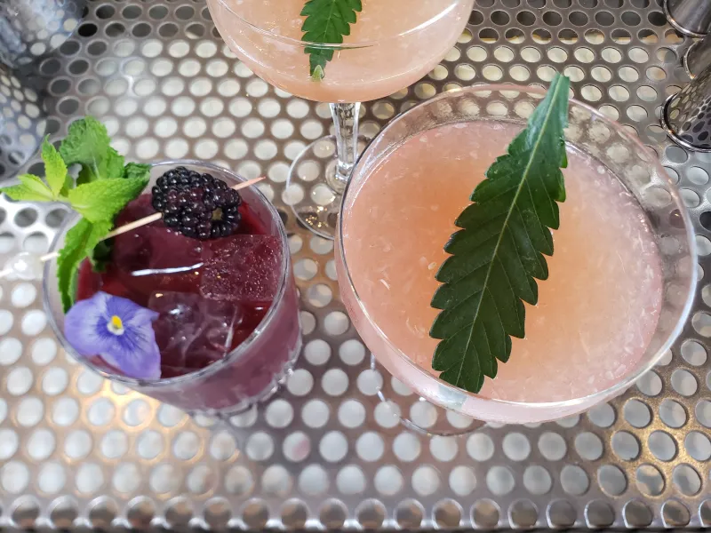 Two CBD mocktails from above, one garnished with blackberries, mint and a violet, one with a cannabis leaf