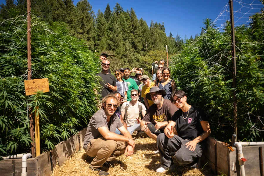 Farm Retreat guests gathered for a group photo among tall cannabis plants on a sun-grown farm