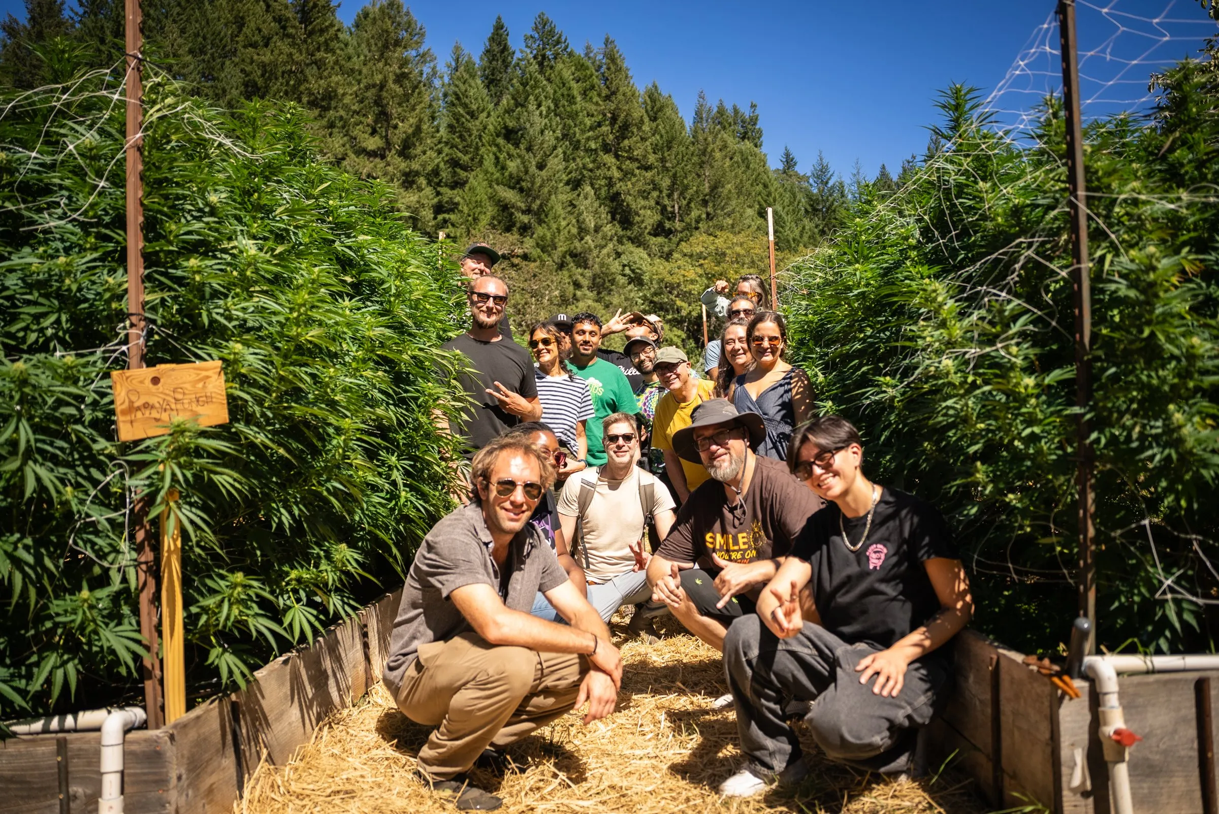 Farm Retreat guests gathered for a group photo among tall sun-grown cannabis plants on an Emerald Triangle farm