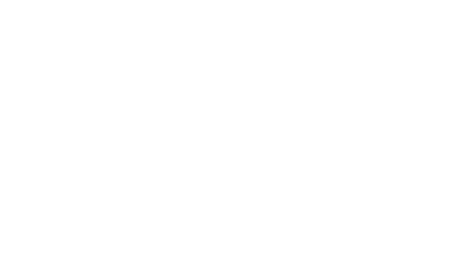 Bear Labs